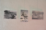 galerija